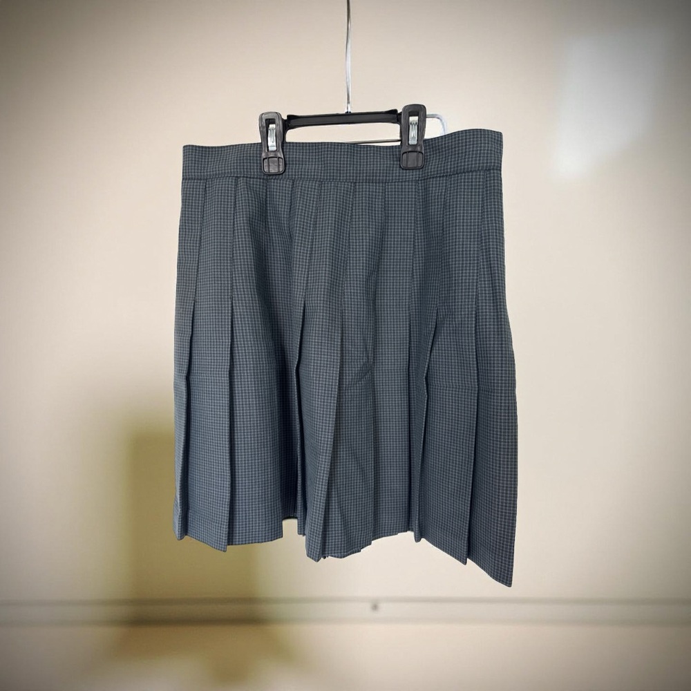 Ultra Pink Charcoal Pleated Mini Skirt